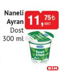 DOST NANELİ AYRAN 300 ML